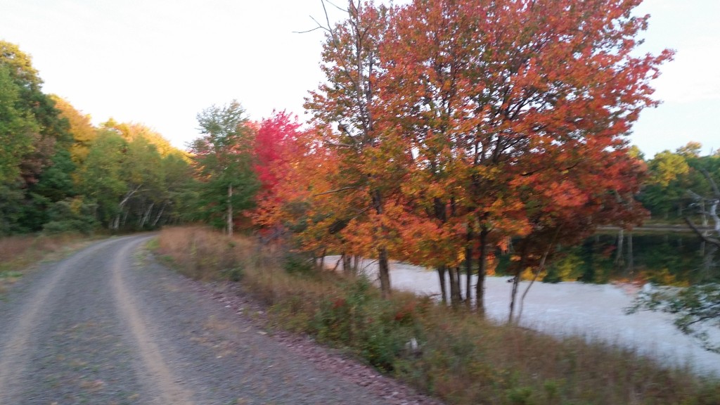 Glen Summit - D & L Black Diamond Rail Trail Fall Foliage Poconos - Pocono Bike Rental