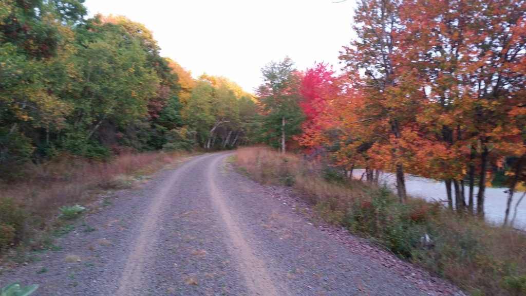Black Diamond Rail Trail Glen Summit PA
