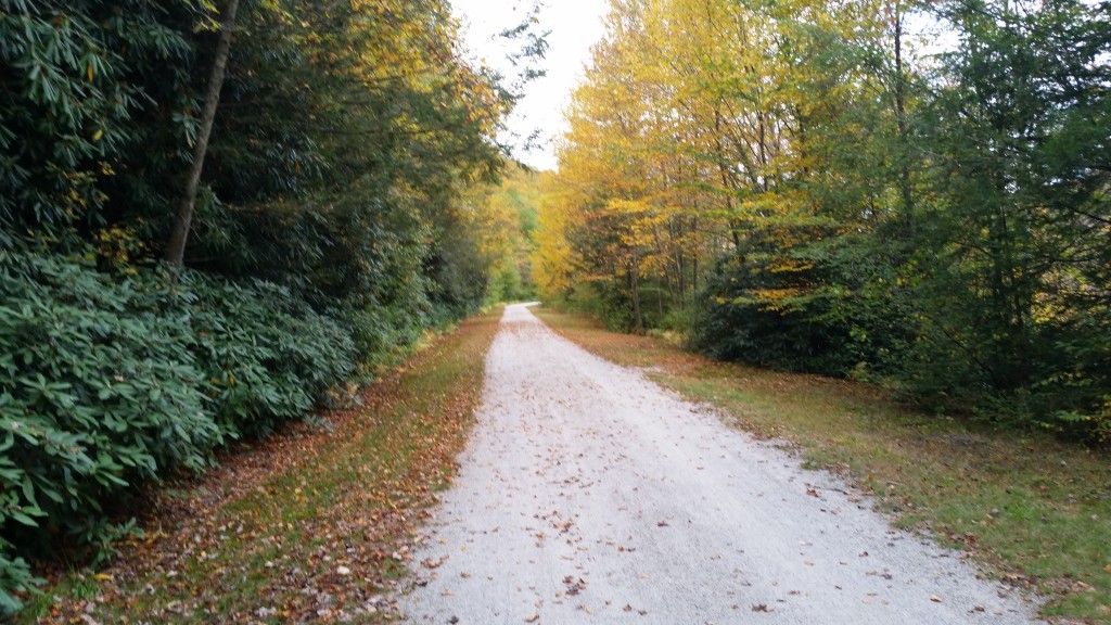 Upper Gorge Fall Foliage