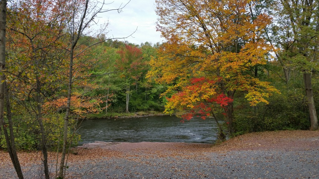 Fall Foliage Lehigh River Poconos PA