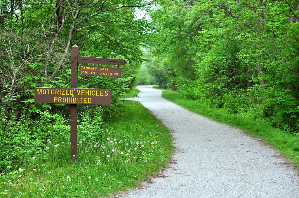 Lehigh Gorge Trail Tannery Access