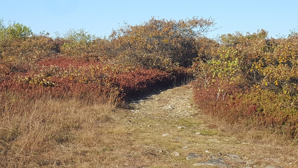 Poconos Fall Foliage Report