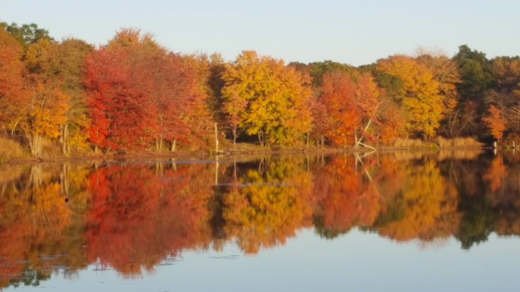 Poconos Fall Foliage Report