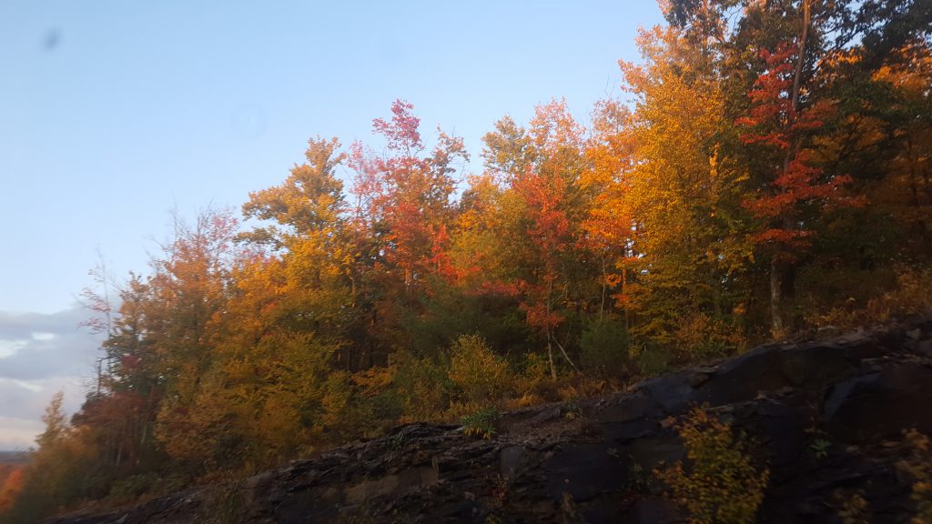 Pocono Mountains Fall Foliage Report